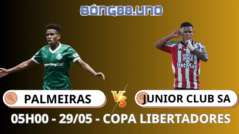 Soi Kèo Palmeiras Vs Junior Barranquilla - Copa Libertadores - 29/05/2026